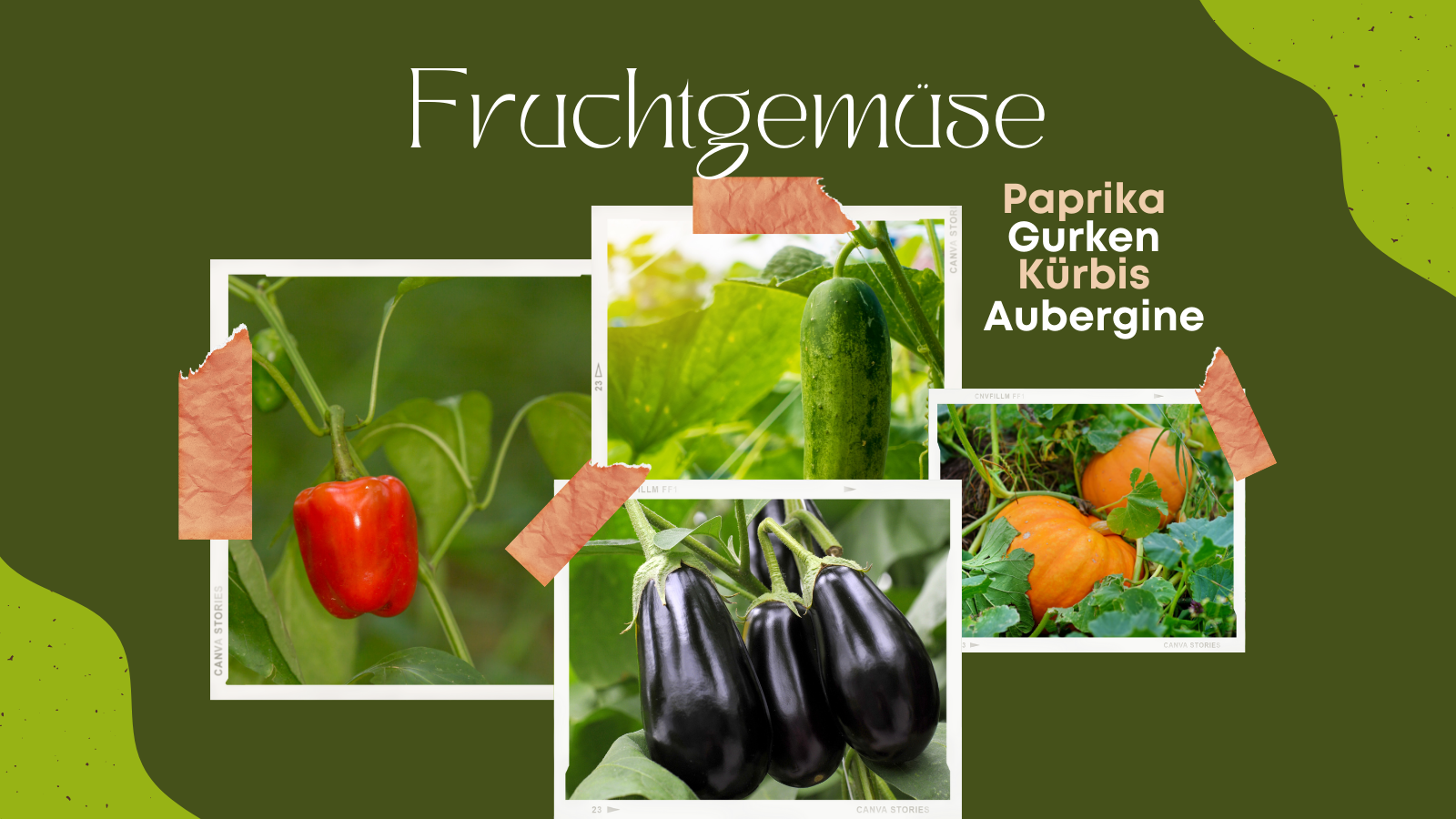 Fruchtgemüse wie Kürbis, Auberginen, usw.