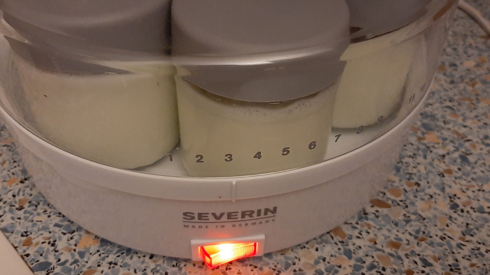 Joghurt im Joghurtbereiter selber machen Zu sehen ist hier ein Joghurtbereiter von Serverin mit gefüllten Joghurtgläsern