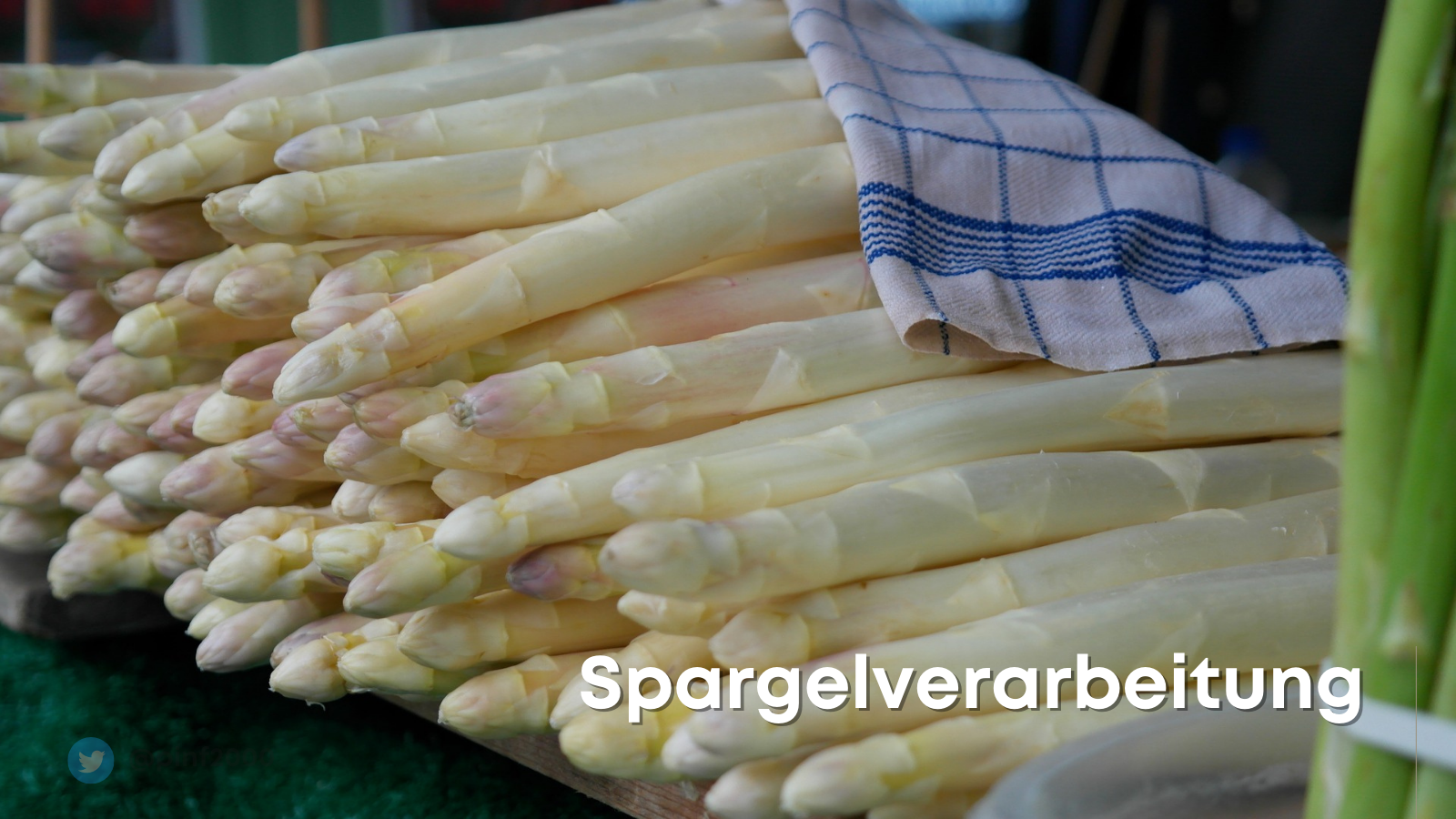 Spargel in feuchtem Handtuch eingewickelt