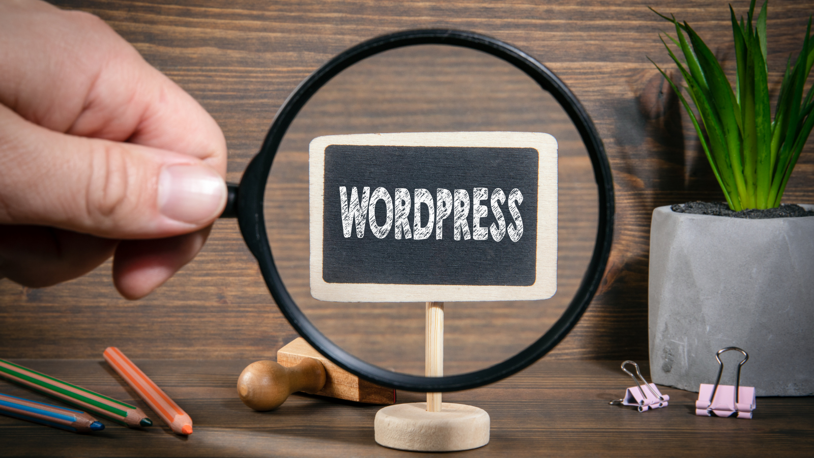 WordPress Workshop Öffentlichkeitsarbeit für Initiativen Armutserfahrener
